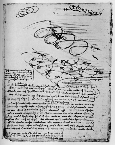 Studies van Vogels in Vlucht Bij het Stijgen en Cirkelend, 1928 door Leonardo da Vinci