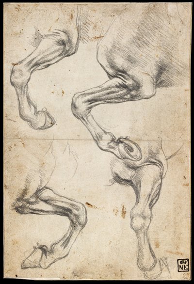 Studies van paardenbenen door Leonardo da Vinci