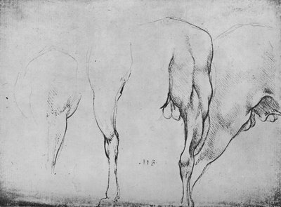 Studies van paardenbenen, c1480 1945 door Leonardo da Vinci
