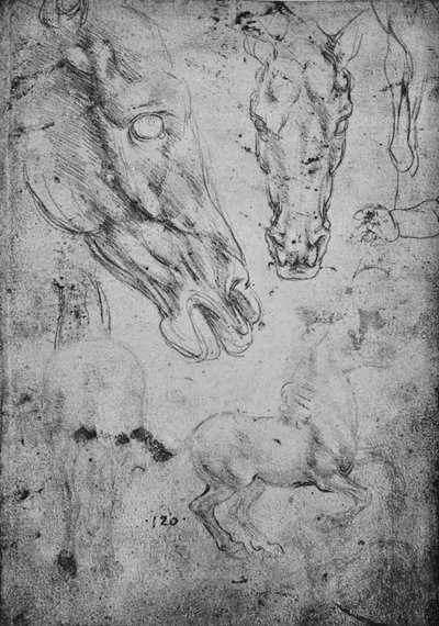 Studies van paarden en paardenhoofden, ca. 1480 door Leonardo da Vinci