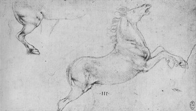 Studies van een steigerend paard en een paardenachterkant door Leonardo da Vinci