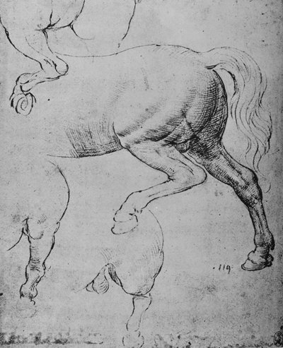 Studies van de achterkwartieren en achterbenen van een paard, ca. 1480 door Leonardo da Vinci