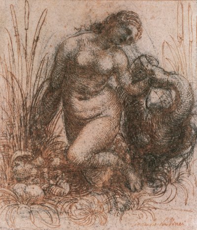 Studie voor Leda en de zwaan door Leonardo da Vinci