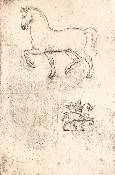 Studie voor het Sforza-monument, ca. 1482-1499, 1883 door Leonardo da Vinci