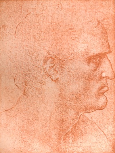 Studie voor het hoofd van St. Mattheüs in 