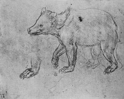 Studie van een Beer, ca. 1480, 1945 door Leonardo da Vinci