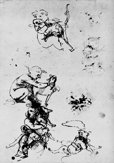 Studie van een kind met een kat, 1478-1481 1945 door Leonardo da Vinci