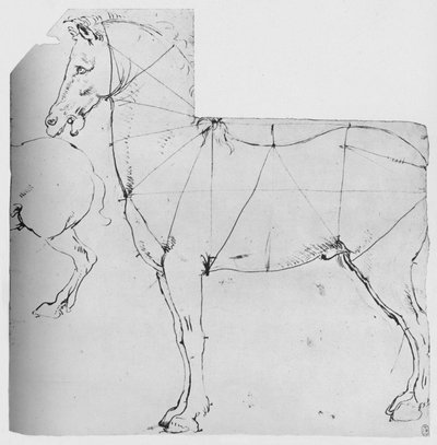 Studie van een paard gemarkeerd voor meting, c1480 1945 door Leonardo da Vinci