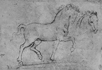 Studie van een paard en van een paardenhoofd, c1480 1945 door Leonardo da Vinci