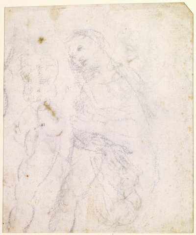  door Leonardo da Vinci