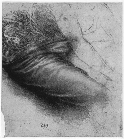 Studie van een kledingstuk voor Sint Anna, 1503-1517, 1954 door Leonardo da Vinci