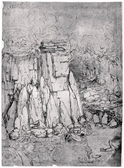 Studie van een rotsachtige grot met eenden, 1482-1485 1954 door Leonardo da Vinci