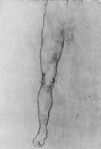 Studie van de onderste helft van een naakte man die naar voren kijkt, ca. 1480, 1945 door Leonardo da Vinci