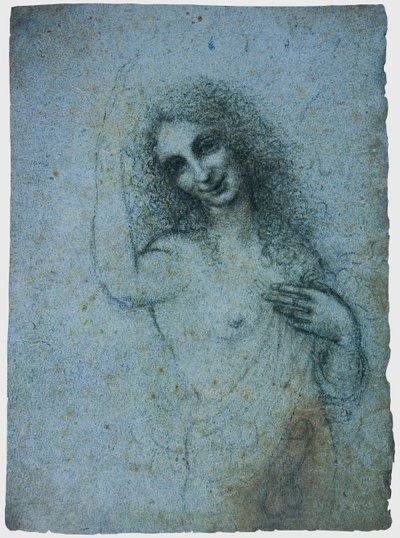 De engel in het vlees door Leonardo da Vinci