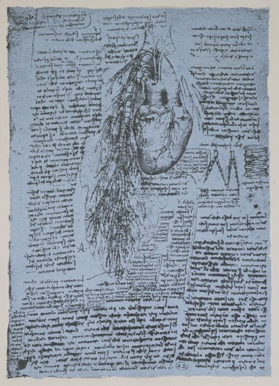 Het hart en de bronchiale slagaders, facsimile van het Windsor-boek door Leonardo da Vinci