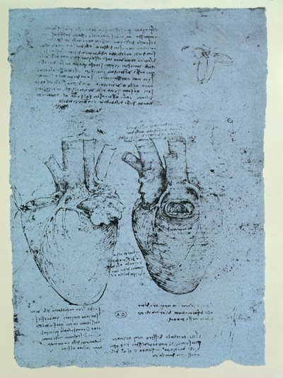 Het hart, facsimile van het Windsor-boek door Leonardo da Vinci