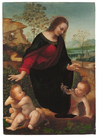 De Madonna en Kind met de jonge Sint Jan de Doper door Leonardo da Vinci