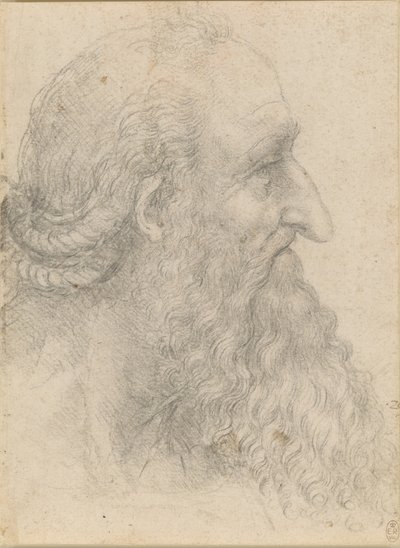 Het hoofd van een oude bebaarde man door Leonardo da Vinci