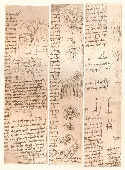 Drie tekeningen, c1472-c1519 1883 door Leonardo da Vinci