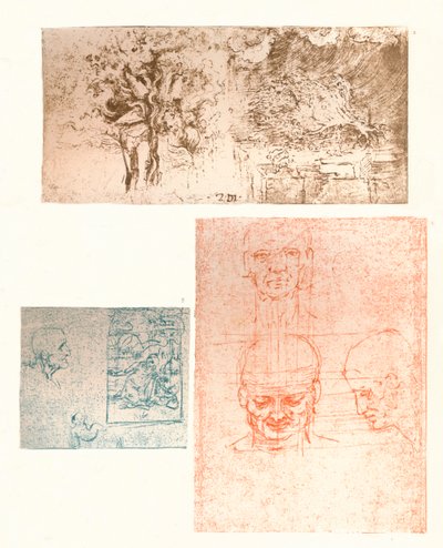 Drie tekeningen, ca. 1472-ca. 1519, 1883 door Leonardo da Vinci