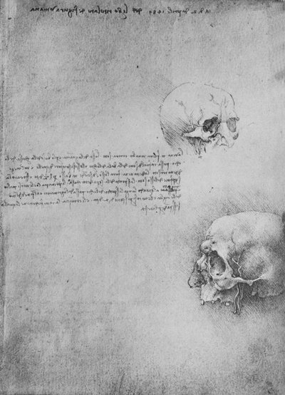 Twee tekeningen van de benige structuur van het hoofd, c1480 door Leonardo da Vinci