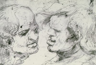 Twee hoofden door Leonardo da Vinci