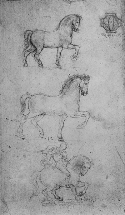 Twee studies van een paard en een van een paard en ruiter door Leonardo da Vinci