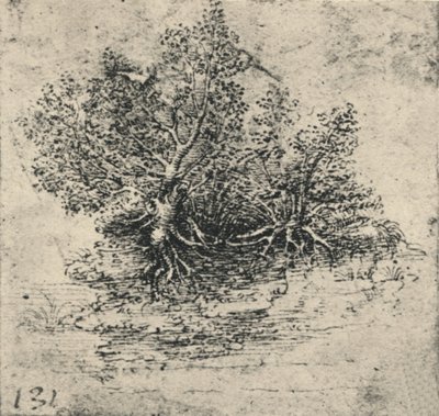 Twee bomen aan de oever van een stroom, c1480 door Leonardo da Vinci