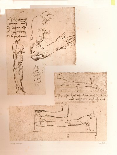 Twee tekeningen die de theorie van de proporties van het menselijk lichaam illustreren, ca. 1472-ca. 1519, 1883 door Leonardo da Vinci