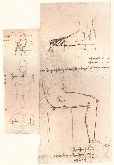 Twee tekeningen ter illustratie van de theorie van de proporties van het menselijk figuur, ca. 1472-ca. 1519 door Leonardo da Vinci