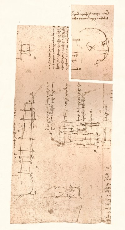Twee tekeningen die de theorie van de proporties van het menselijk figuur illustreren, ca. 1472-ca. 1519, 1883 door Leonardo da Vinci