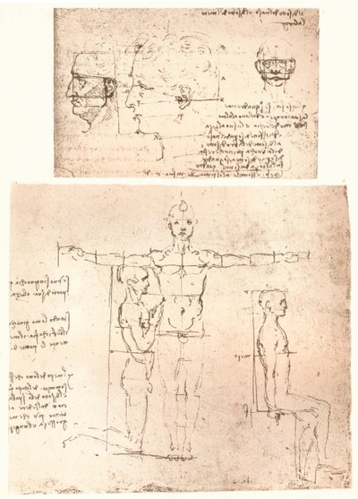 Twee tekeningen die de theorie van de proporties van het menselijk figuur illustreren door Leonardo da Vinci