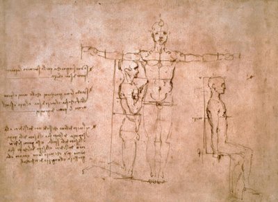 Vergelijkende Proportiestudies door Leonardo da Vinci