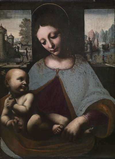 Maagd en Kind, c. 1500 door Leonardo da Vinci
