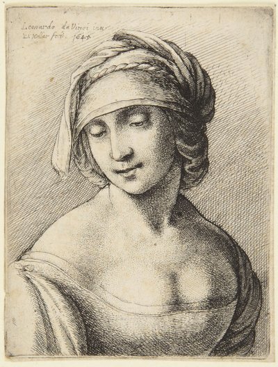 Vrouw met een snood door Leonardo da Vinci