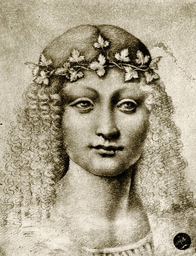 Hoofd van een meisje met wijnranken door Leonardo da school of Vinci