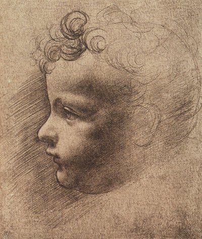 Hoofd van een kleine jongen door Leonardo da school of Vinci