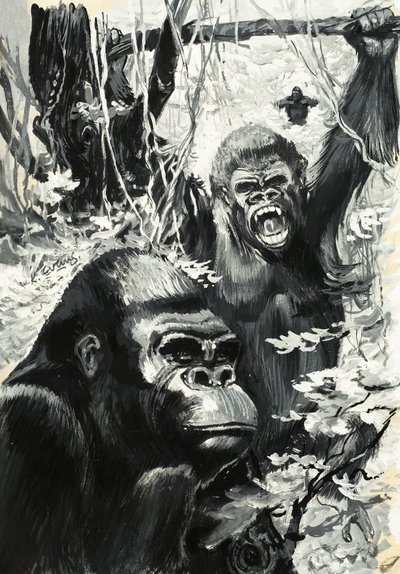Gorilla
