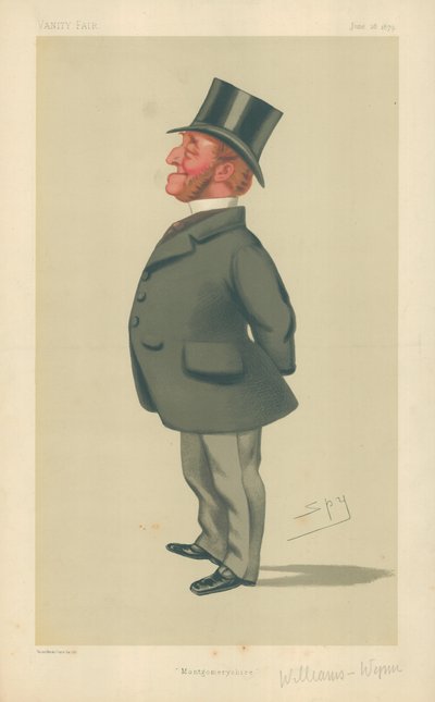 Mr Charles Watkin Williams-Wynn, Montgomeryshire, 28 juni 1879, Vanity Fair cartoon door Leslie Matthew Ward