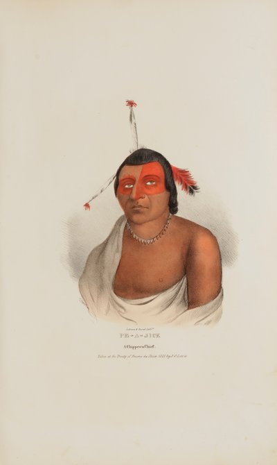 PE-A-JICK; Een Chippewa opperhoofd, uit de Aboriginal Portfolio door Lewis, James Otto