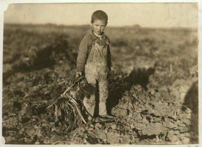 6-jarige Jo die suikerbieten trekt op een boerderij bij Sterling, Colorado, 1915 door Lewis Wickes Hine