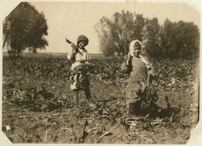 Amelia en Mary Luft, 9 en 12, snijden suikerbieten op een boerderij nabij Sterling, Colorado, 1915 door Lewis Wickes Hine