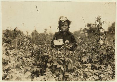 Annie Bissie plukt bessen in de velden bij Baltimore, Maryland, 1909 door Lewis Wickes Hine