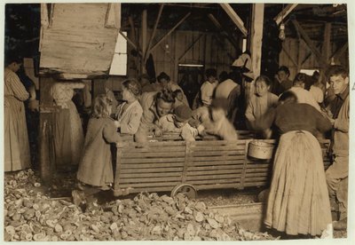 Bill May, 5 jaar oud, die 15 cent per dag verdient, in de schuur van de Barataria Canning Company, Biloxi, Mississippi, 1911 door Lewis Wickes Hine