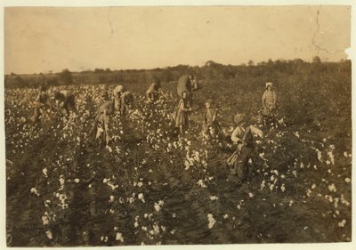 Familie die katoen plukt nabij McKinney, Texas, 1913 door Lewis Wickes Hine
