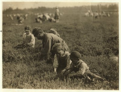 Jo Arnao 3, plukt veenbessen met zijn broer 6 en zus 9 in Whites Bog, Browns Mills, New Jersey, 1910 door Lewis Wickes Hine