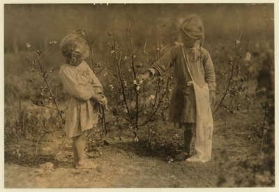 Millie, 4 jaar oud, plukt 8 pond katoen per dag en Nellie 5, plukt 30 op een boerderij nabij Houston, Texas, 1913 door Lewis Wickes Hine