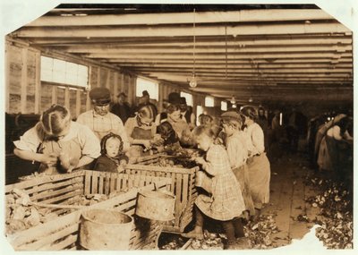 Rosy, 8 jaar oud, werkt een 14-urige dag als oesterschiller bij Dunbar Cannery, Louisiana, 1911 door Lewis Wickes Hine