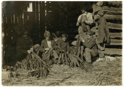 Zonen van J.H. Burch, 12, 14 en 17 jaar oud, strippen tabak tijdens schooluren in Warren County, Rockfield, Kentucky, 1916 door Lewis Wickes Hine