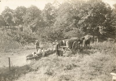 Zonder Titel door Lewis Wickes Hine